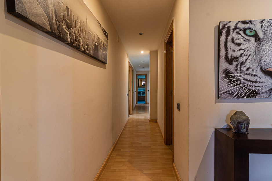3 Habitaciones Habitaciones,1 BañoBathrooms,Piso,En venta,1011